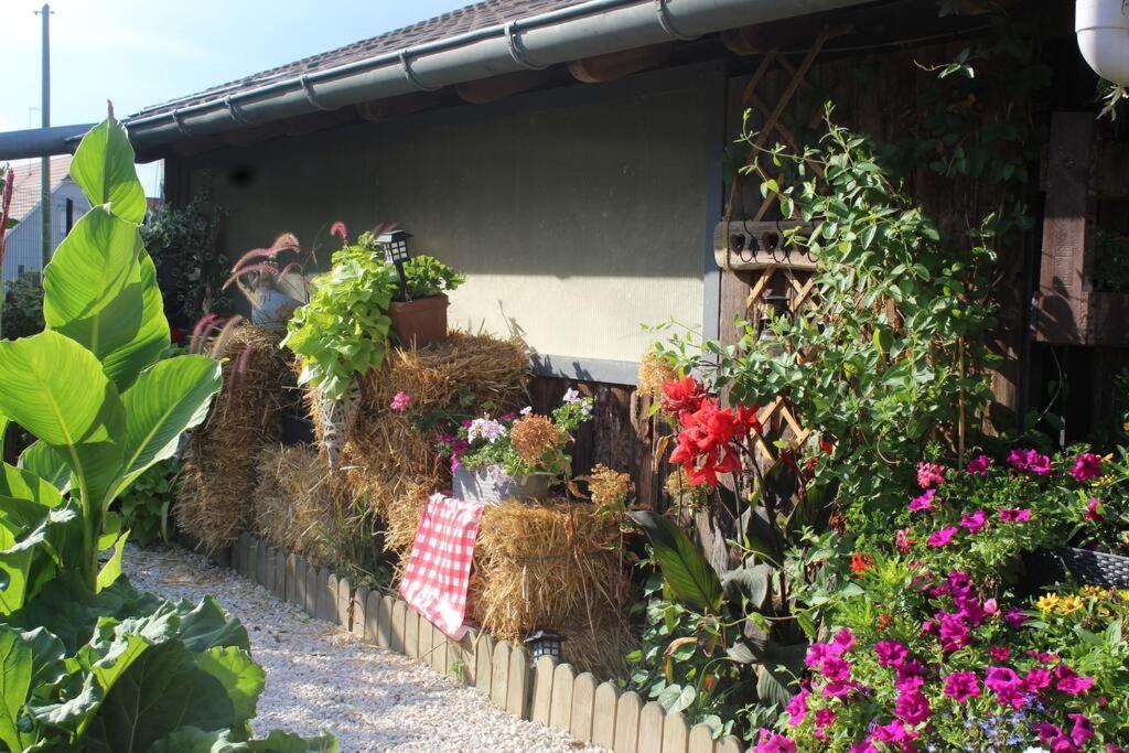 Maisonnette * Bindernheim