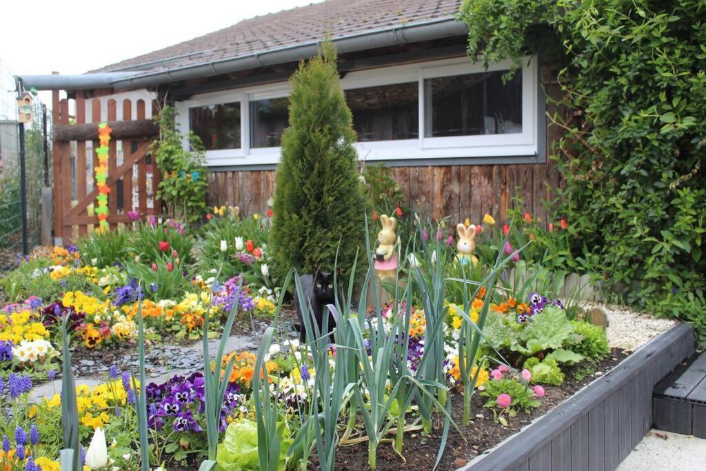 Maisonnette Holiday home